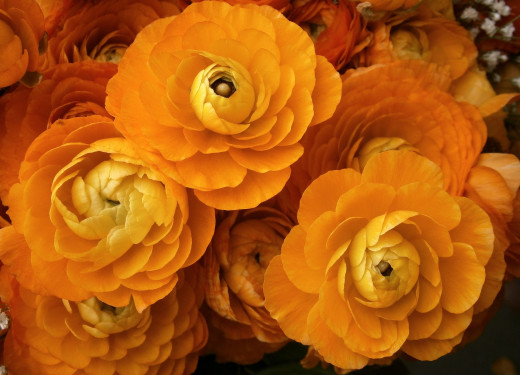 796030 (a): :2048x1475